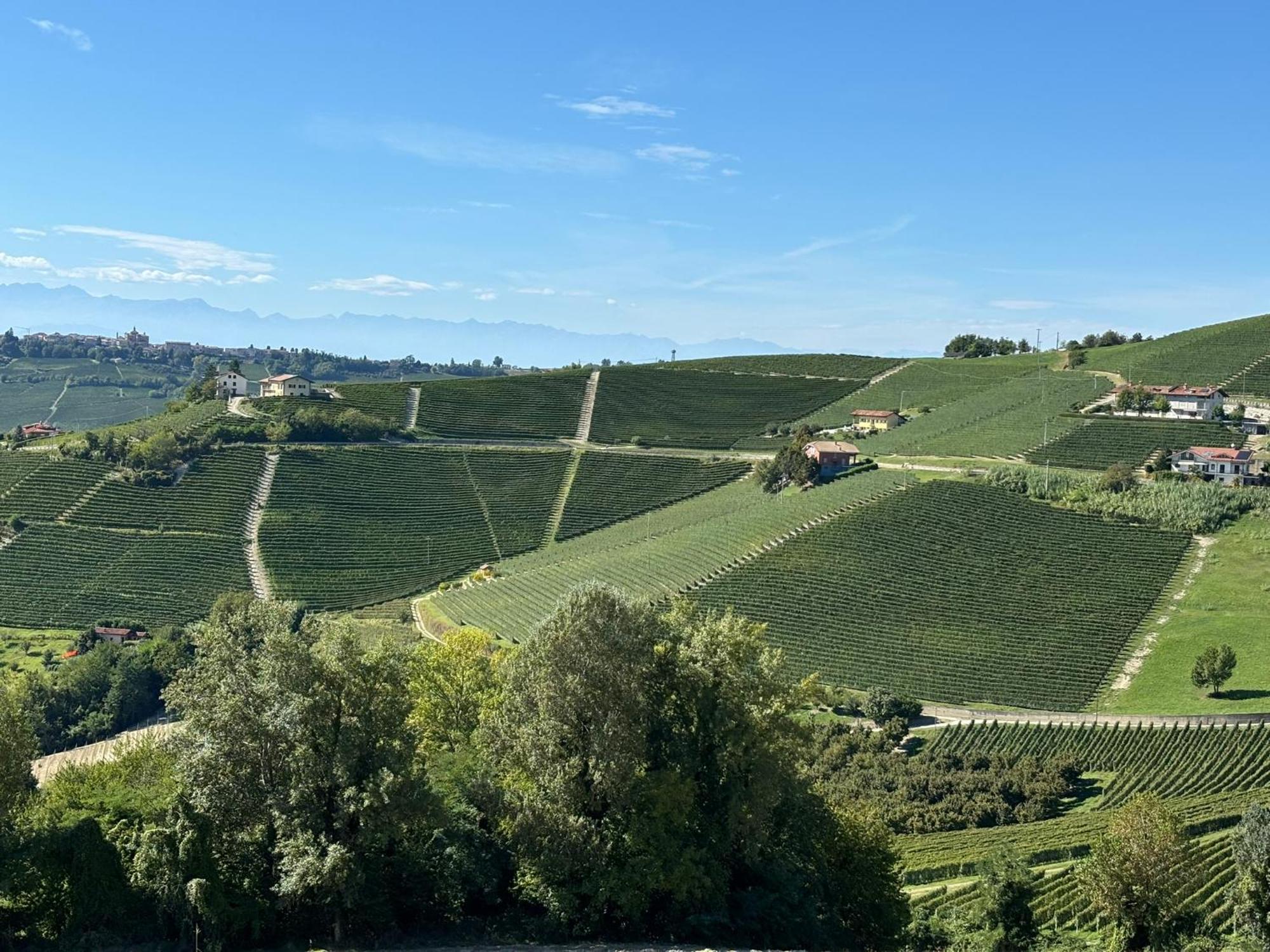 Appartamento "La Poesia Della Terra" Monforte dʼAlba Exterior foto